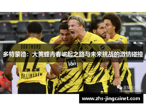 多特蒙德：大黄蜂青春崛起之路与未来挑战的激情碰撞